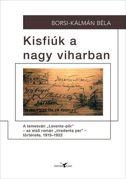 Kisfik a nagy viharban cover